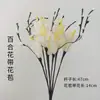 Accesorios de pintura decorativa de seda Jindi Borla de pavo real Tronco de girasol Hebilla de seguridad Papel Lafite Lirio Plato de cerámica
