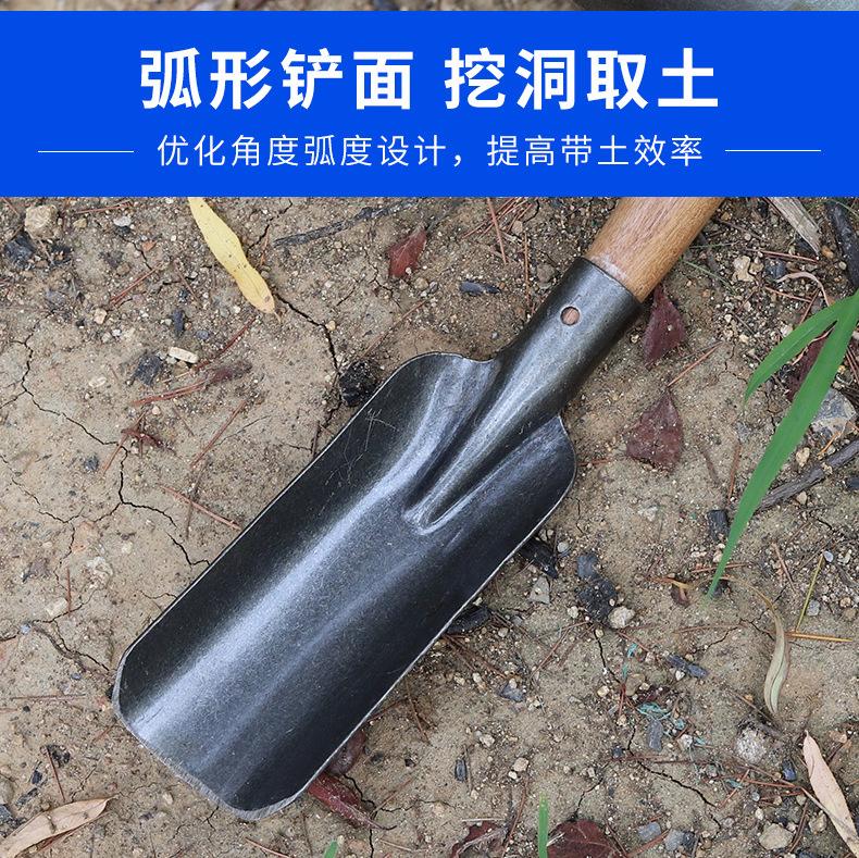 详情_09.jpg