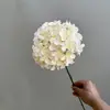 Escenario de Flores Artificiales Color Champán para Boda, Ramo de Flores Falsas, Rosa, Orquídea Mariposa, Flores de Boda, Venta al por Mayor de Flores Artificiales