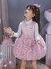 Nuevo Vestido de Princesa para Niñas Falda Tutú Dulce Falda Tutú para Niños Falda de Malla para Bebé Niña Falda de Pastel