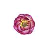 Gradiente Dos Tonos Rosa Al Por Mayor Flor Real Relieve Muestra Cara Relieve Lámpara de Mesa Pegatina de Vela Flor Seca Hecho a Mano Bricolaje