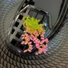 Acessórios de Flor de Sapato de Cristal Resistentes Estilo Coreano com Lantejoulas Bordadas, Franjas de Cristal Exquisite de Estilo Leve de Luxo