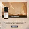 Aceites Esenciales de Aromaterapia Solubles en Aceite de Amazon, Máquina de Aromaterapia de Dos Fluidos, Velas de Uso Único, Aceites Esenciales Compuestos para DIY, Todo en Inglés