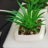 Planta Suculenta Mini Realista de Alta Calidad en Maceta con Macetas de Cerámica para Venta al por Mayor