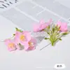 Materiais DIY de Flores Artificiais, Flores de Grama Pequenas, Arranjos de Flores DIY para Casa, Guirlandas de Flores, Flores de Tecido de Seda, Acessórios de Cabelo, Acessórios de Roupa