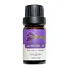 Aceite Esencial de Planta Transfronterizo Soluble en Agua Aceite Esencial de Aromaterapia Humidificador con Difusor Doméstico Ratán Purificación del Aire de Larga Duración