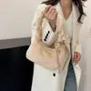 Bolso Relleno para Mujer 2025 Nuevo Moda Coreana Diseño de Nicho Tendencia de Otoño Bolso de Hombro Peludo