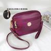 Bolso Pequeño Bolso Cruzado para Mujer 2025 Primavera Nuevo Mini Un Hombro Multicapa Cuero Suave Ligero de Mano Cambios Bolso para Teléfono Móvil