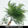 Decoración de Boda con Plantas Verdes Artificiales, Flores Artificiales Verdes para Montaje de Escena, Hojas de Hierba Barba de Dragón Estilo Bosque, Hierba Espárrago, Flores Falsas