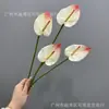 Antúrio artificial impresso em 3D, toque realista, modelo minimalista moderno para sala, decoração suave, arranjo floral, decoração de mesa de jantar