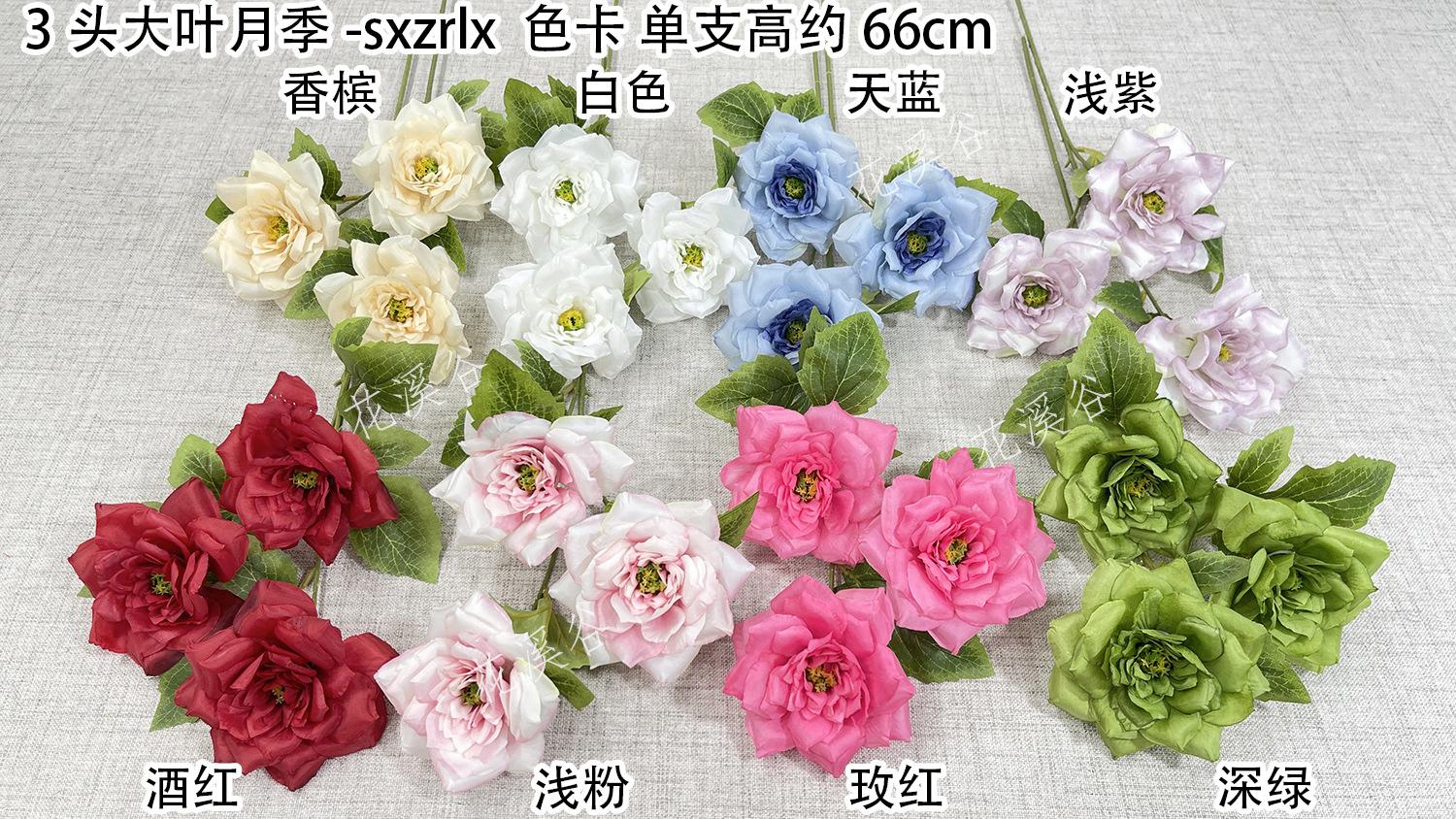 3头雅致玫瑰-sxzrlx 色卡 花溪谷.jpg