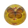Espécimes de Insetos e Animais em Resina, Artesanato em Resina, Espécimes de Borboleta Cristal de Resina Epóxi de Alta Transparência, Personalizado