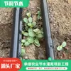 Fita de Irrigação por Gotejamento Tipo Patch Embutido Agrícola 16mm Tubo de Irrigação por Gotejamento de Furo Único ou Duplo Ferramenta de Irrigação por Gotejamento Fita de Irrigação por Gotejamento Tipo Patch