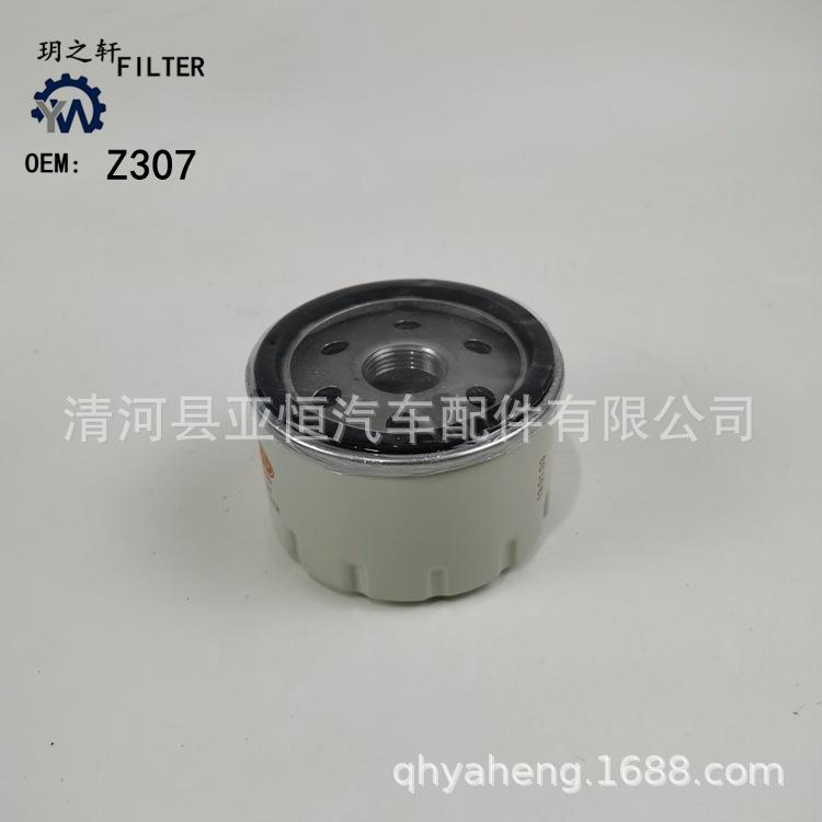 Z307 -0
