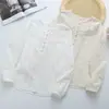 Coleção Outono 2026: Blusa feminina de manga longa com meio botão, jacquard liso bordado artístico estilo japonês