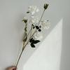 Nova Flor Artificial Rosa Francesa 6-Cabeças Fundo Salão de Casamento Decoração Suave Condução de Caminho Decoração de Flores em Vaso Alto em Estoque