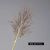 Hierba Seca Artificial de Plástico, Hierba Dorada de Seda, Juncos, Escarcha de Niebla, Serie de Colores Maillard, Decoración del Hogar, Diseño de Bodas, Arreglos Florales, Flores Artificiales