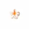 Presilha de Cabelo Flor de Frangipani Dopamina Mais Vendida em Vendas Transfronteiriças Nova Presilha de Garra Clip de Tubarão Flor de Feriado Exquisita Europeia e Americana
