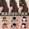 Pinza Pequeña para Flequillo, Estilo de Alta Gama para Mujer, Nuevo Modelo 2026, Pinza Lateral para el Cabello, Pinza para Recoger la Mitad del Cabello, Pasador Pequeño, Accesorio para el Cabello