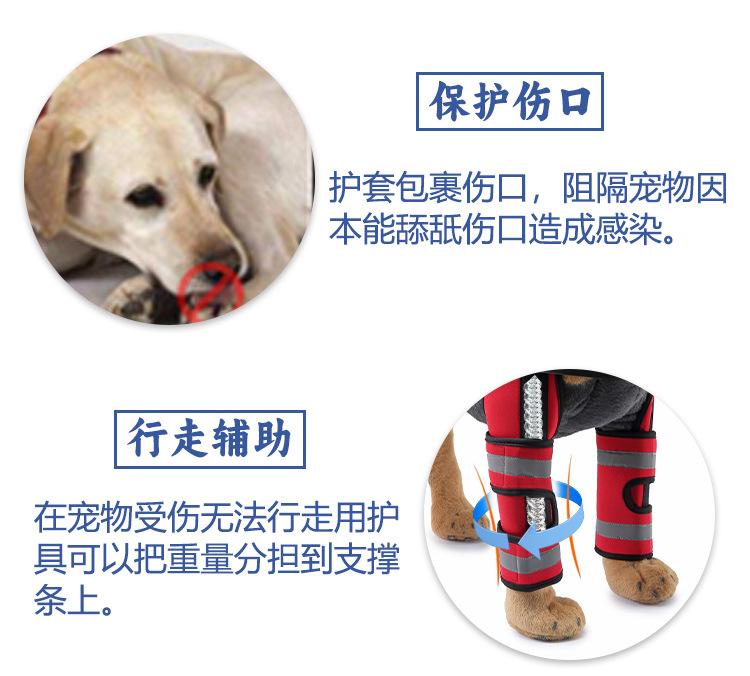 图层 9.jpg