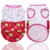 Roupa de Primavera e Verão para Animais de Estimação Colete para Gatinho Roupa para Cão Gato Roupa para Cão Malha Teddy Bichon Pomeranian Suprimentos de Vestuário