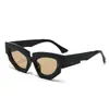 Gafas de sol de ojo de gato de moda europea y americana 2025 para hombre y mujer, personalizadas, protección solar para exteriores, visera solar, gafas para fotos callejeras, venta al por mayor transfronteriza
