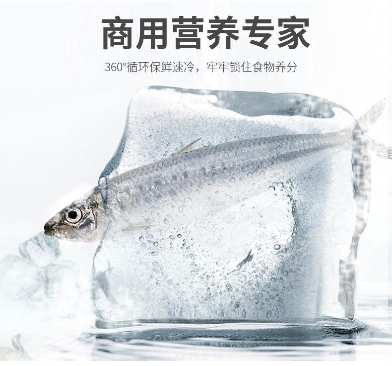 零下40度肉类快速冷冻库