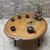 Mesa de Té de Madera de Alcanfor Talla de Raíz Madera Maciza Mesa de Café Pequeña Estilo Shaji B&B Sala de Estar Ventana Saliente Tatami Mesa Pequeña