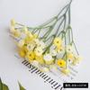 Simulación de las estrellas decoración fresca para el hogar fondo para sesión de fotos flor de simulación de alta gama diseño suave adornos por todo el cielo