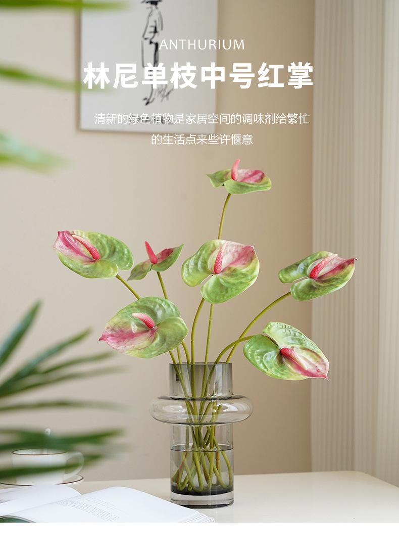 林尼单枝中号红掌_01.jpg