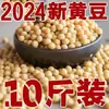 2024 Nordeste pode brotar brotos de feijão soja amarela soja amarela solta broto de soja especial feijão Heilongjiang brotos de feijão crus soja amarela pequena