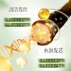 Baizhentang Hojas de Platycladus Sábila Champú Refrescante y Esponjoso Mayoreo Cabello Refrescante, Esponjoso y Suave Cuidado Sedoso del Cabello