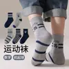 Meias Infantis para Meninos no Outono e Inverno, Meias de Cano Médio para Adolescentes e Estudantes, Resistentes à Sujeira, para Meninos Mais Velhos, Meias Esportivas com Letras