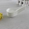 Pura cerâmica plana branca pequena colher de magnésio porcelana colher Bone China Não. 2 colheres