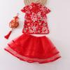 Falda de estilo chino para niña Falda de baile para niños Primavera y otoño Falda corta abullonada para bebé Falda de hilo de princesa Set Nuevo estilo