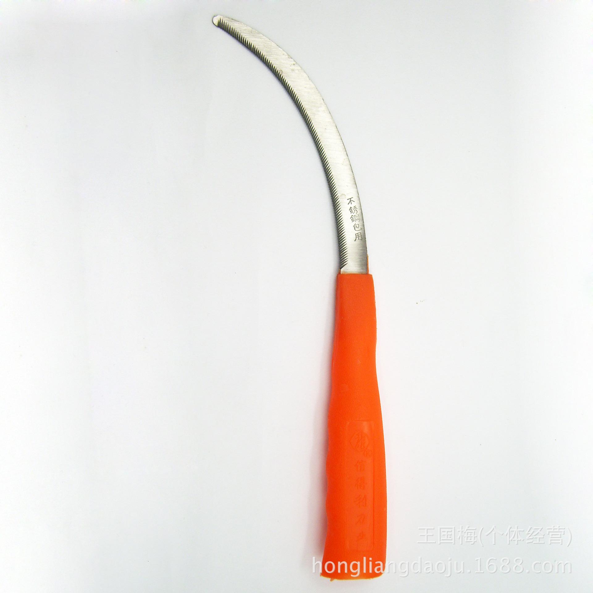 DSCI0039