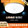 Luminária de teto LED à prova de três intempéries com sensor de radar 30cm 24W luz branca infravermelho corpo humano inteligente entrada de escada controle de som e luz