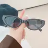 Óculos de Sol Gatinho Tendência Novo Estilo Ins Moda Europeia e Americana Hot Girl Óculos de Sol de Alta Qualidade Óculos Populares de Moda para Live