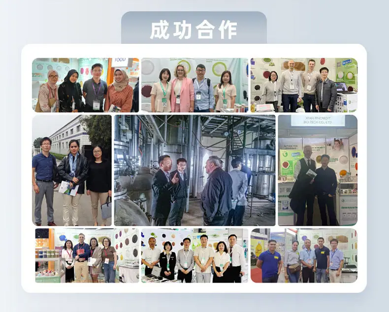 辅酶Q102