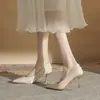 Zapatos de Tacón Alto Apuntados Jinye Cg6006 para Mujer con Tacón de Aguja 2024 Nuevos de Seda y Satén Versátiles No Cansan