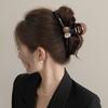 Pinza para el Cabello Extra Grande de 13 cm para Mujeres con Cabello Grueso, Nuevo Modelo 2026, Tamaño Grande Sencillo, Aspecto de Alta Gama, Pasador para la Parte Posterior de la Cabeza, Pinza de Tiburón