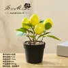 Flores Artificiais, Bonsai de Frutas Artificiais de Alta Qualidade, Flores Artificiais Fornecidas Diretamente por Fabricantes, Móveis Domésticos Modernos e Criativos, Plantas Artificiais em Vasos