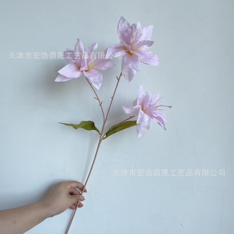 微信图片_202208111655475_副本