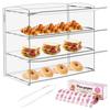 Vitrina de acrílico para panadería, pastelería, venta al por menor, vitrina de exhibición, vitrina de donas y galletas, caja de plástico