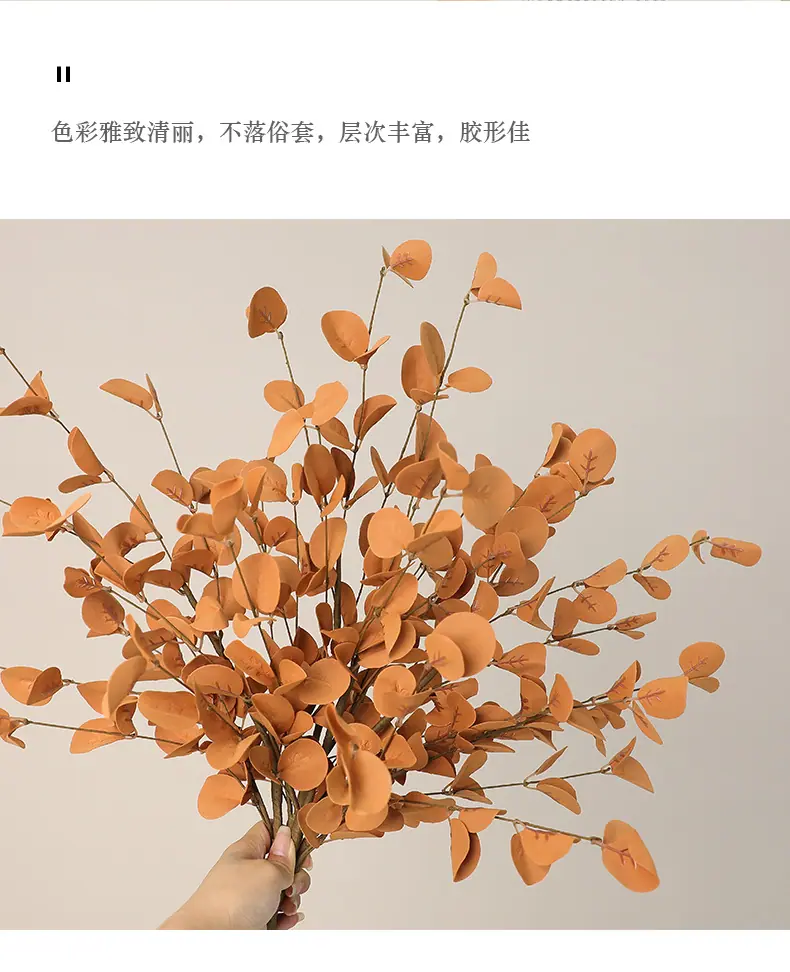 欣荣PE36片叶尤加利_02.jpg