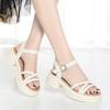 Sandalias de suela gruesa para mujer, calzado de verano exterior 2024, nuevos y exquisitos zapatos de mujer de alta gama con suela blanda, zapatos con hebilla para falda