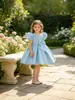 Vestido Novo para Festa de 1º Aniversário de Bebês e Crianças Pequenas 2025 Laço Manga Bufante Vestido Infantil Vestido de Princesa