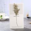 Cartão de Cumprimentos com Flores Secas Frescas e Simples para Enfermeira, Dia das Mães, Agradecimento, Aniversário, Cartão Pequeno para Funcionários e Clientes