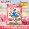 Detergente em pó para lavanderia Liby, embalagem grande, fragrância mestre, fragrância duradoura, pó de lavanderia doméstico, embalagem econômica grande, atacado genuíno