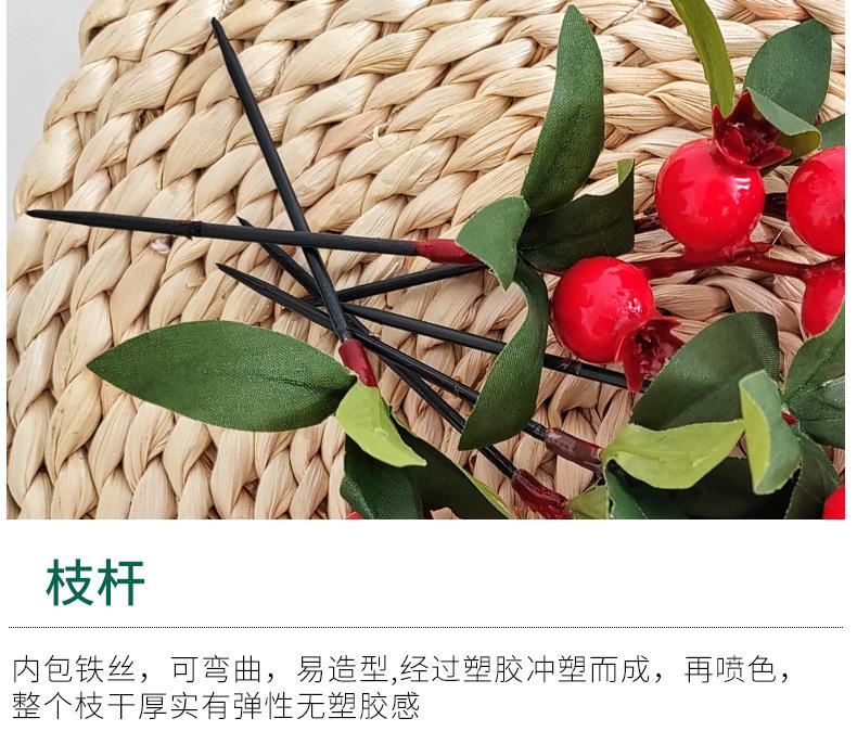 小石榴(2)(1)_06.jpg